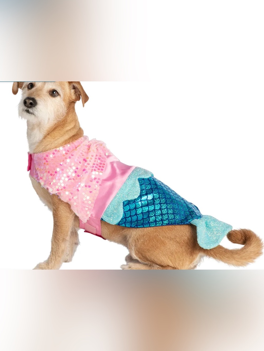 Dog/Cat thrills & chills Pink & Teal Mermaid Pet Costume - Sequin Dog Outfit.